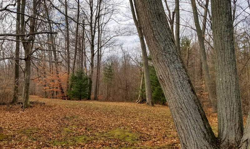 Hamlin Beach State park